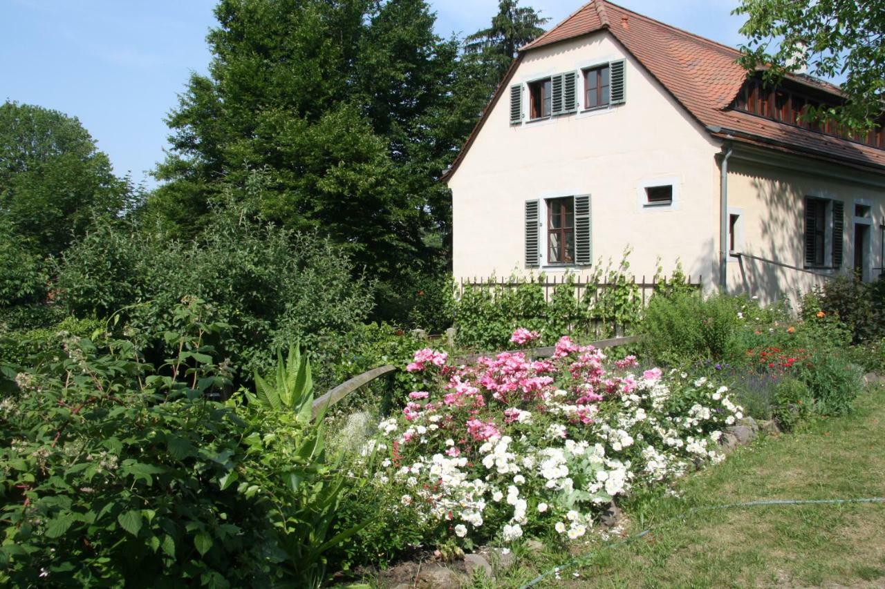 Poncet'Sches Herrenhaus Dresden Exterior photo